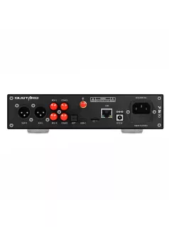   AUDALYTIC DR70N - DAC R2R de birou și streamer DLNA AirPlay Roon 32bit 768kHz DSD512 - Negru