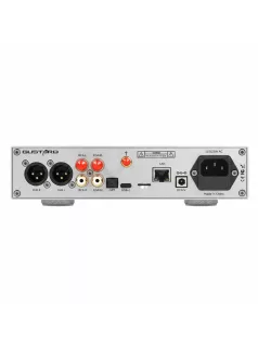   AUDALYTIC DR70N - DAC R2R de birou și streamer DLNA AirPlay Roon 32bit 768kHz DSD512 - Argint