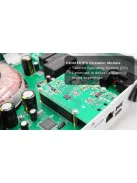 DENAFRIPS ARCAS - Streamer de masă high-end ROON HQPlayer NAA Airplay DLNA - argint