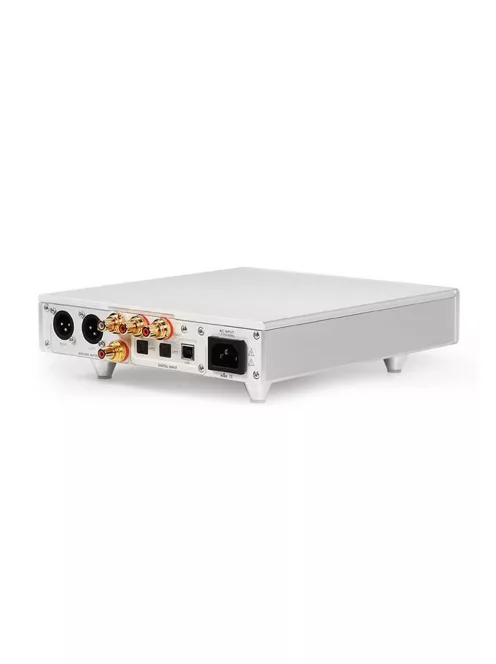 DENAFRIPS ERATO - DAC R-2R simetric de masă, de înaltă clasă - argint - EU