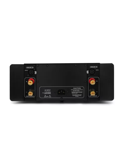 DENAFRIPS THALLO 12TH - Amplificator stereo de masa high-end - negru