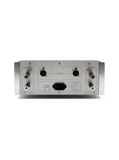   DENAFRIPS THALLO 12TH - Amplificator stereo de masa high-end - argint