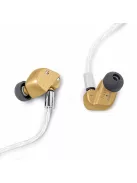 EDIȚIA COLECTORULUI FINAL AUDIO A10000 - Ediție limitată a unui căști premium In-ear monitor cu un singur driver dinamic și cablu MMCX din cupru placat cu argint.
