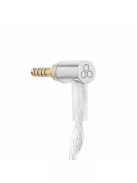 FINAL AUDIO A10000 - Căști premium In-ear monitor cu drivere dinamice și cablu MMCX placat cu argint
