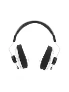 FINAL AUDIO D8000 - Căști over-ear de înaltă performanță cu design deschis și conexiune prin cablu - Argint