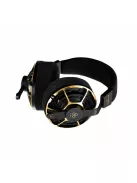 FINAL AUDIO DX10000 CL COLLECTORS EDITION - Căști dinamice circumaurale, cu fir, cu design închis, High-End, cu membrană True Diamond de 40 mm