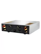 KINKI STUDIO EX-M7 - Amplificator de putere desktop de înaltă calitate - Argint