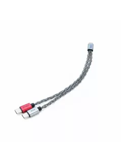   IBASSO CB19C - Cablu OTG Y-adaptor 2x mufă USB Type-C și o mufă USB-C pentru alimentare