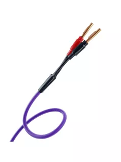   MELODIKA PURPLE SERIES MDSC40 - Cablu difuzor cu banană set (4mm2) - Violet - 1,5m