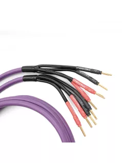   MELODIKA SERIA PURPLE MDBA415 - Cablu bi-amplificare Banana cuplu (4mm2 + 1,5mm2) - Violet - 4m