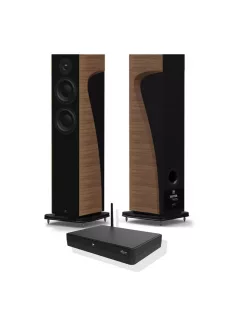 MOREL AVYRA 633W WALNUT + PACHET WISA STEREO HUB HT