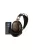 SIVGA AUDIO PENG + SHANLING UA6 BLACK PACHET