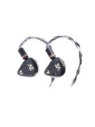 SHANLING AE10 - Căști In-ear monitor de înaltă fidelitate cu zece drivere BA, cablu cu 2 pini