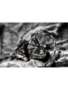 SHANLING AE10 - Căști In-ear monitor de înaltă fidelitate cu zece drivere BA, cablu cu 2 pini