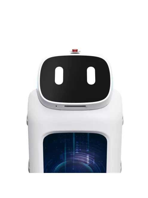 UBTECH CADEBOT L100 - Robot inteligent de service
