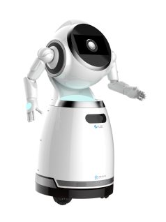   UBTECH CRUZR WA - Robot umanoid programabil de tip serviciu cu software-ul WA - 60 months